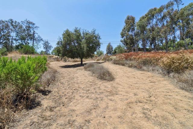1797 99 Rabbit Hill, Fallbrook CA: https://media.crmls.org/mediaz/4f938beb-0c33-446b-a4c3-46ba317929cd.jpg