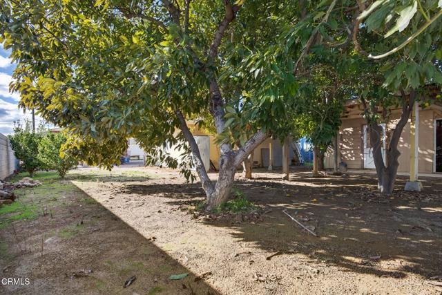 Detail Gallery Image 44 of 55 For 729 Ralph Way, Santa Paula,  CA 93060 - 2 Beds | 1 Baths