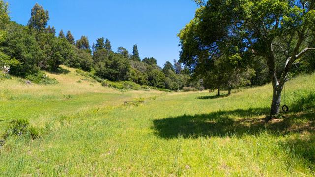 3554 Paul Sweet Road, Santa Cruz CA: https://media.crmls.org/mediaz/4fa29f5e-b5e2-4c7b-bcea-b1f31f84f706.jpg