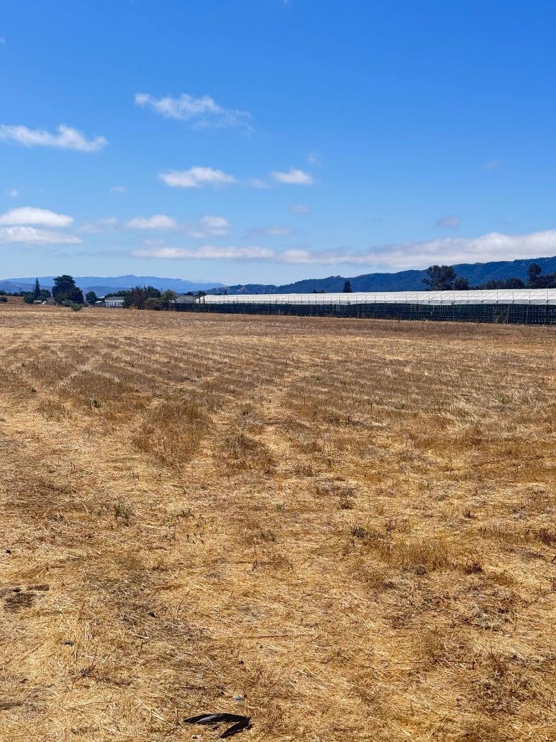 MLS #ML82018888 image #6