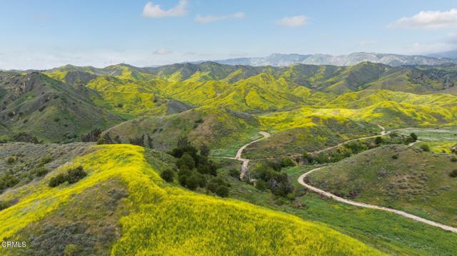 0 Dickenson Road, Santa Paula CA: https://media.crmls.org/mediaz/4fb03fc1-6b50-46d0-a099-419374e7c709.jpg