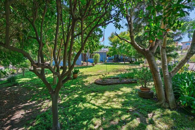 620 Sunset Drive, Vista CA: https://media.crmls.org/mediaz/4fb8fc8f-2b40-49de-99b9-0a17bcdbe157.jpg