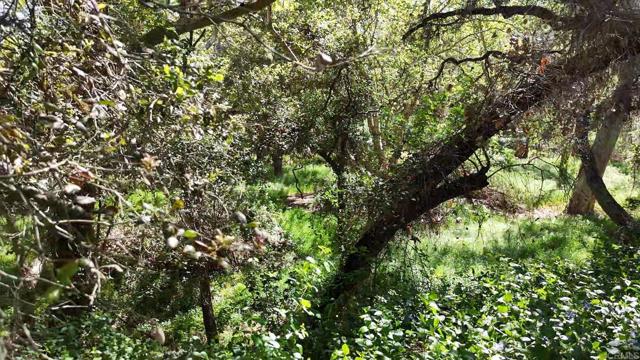 Detail Gallery Image 13 of 60 For 9237 Harmony Grove, Escondido,  CA 92029 - 3 Beds | 2/1 Baths