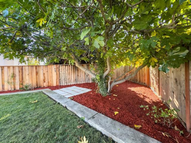 785 Aaron Park Drive, Milpitas CA: https://media.crmls.org/mediaz/4fc2869b-6e14-41a6-ba5a-622c83512cbf.jpg