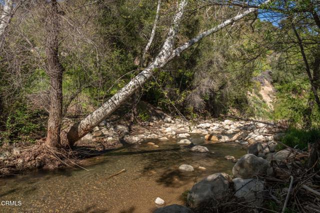 Detail Gallery Image 43 of 47 For 15663 N Ojai Santa Paula Rd, Santa Paula,  CA 93060 - 3 Beds | 2 Baths