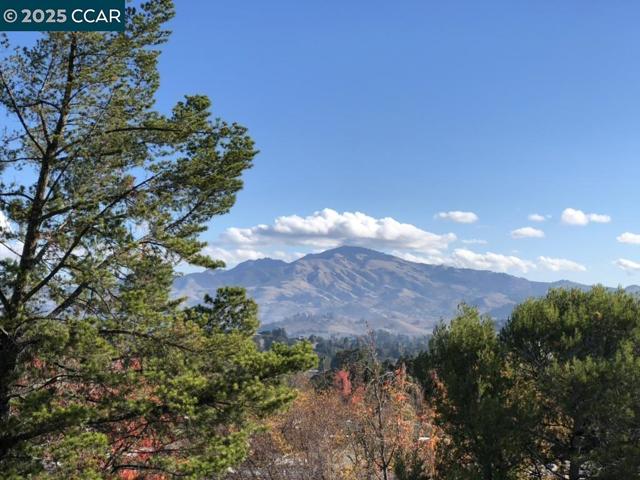 2933 Ptarmigan Dr, Walnut Creek CA: https://media.crmls.org/mediaz/4fc76e5f-d8ed-4b44-b4dd-d8a31713af2e.jpg