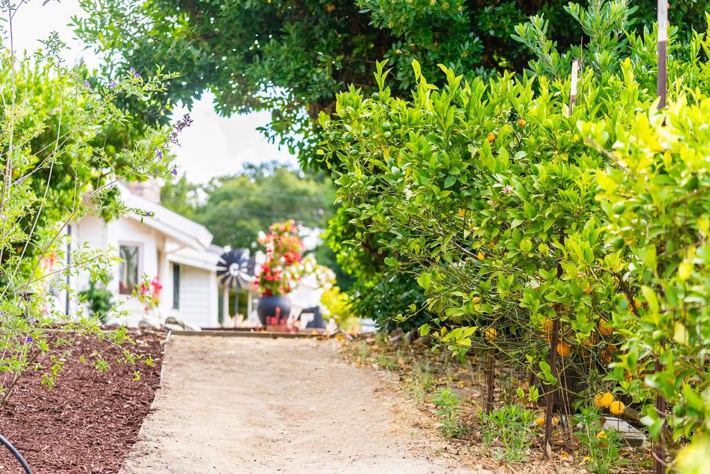 MLS #ML82014611 image #60