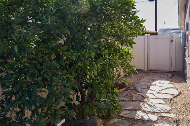 6289 Lake Arago Ave, San Diego CA: https://media.crmls.org/mediaz/4fd0f3c0-9690-486b-9b92-ca17198bce60.jpg