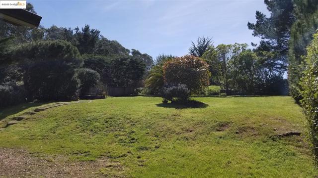1400 Audubon AVE, Montara CA: https://media.crmls.org/mediaz/4fd2ac4b-6e0f-4529-b217-4fef4c4c007b.jpg