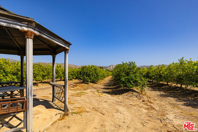 13721 W Telegraph Road, Santa Paula CA: https://media.crmls.org/mediaz/4fd31de2-cfed-4397-a228-e73b34461f6a.jpg