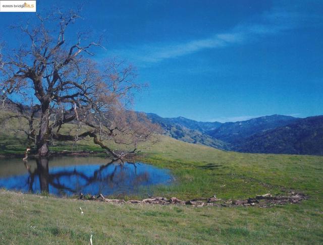 39305 Pine Mountain RD, Cloverdale CA: https://media.crmls.org/mediaz/4fd3572d-dc0c-40d6-a0b0-08f073bc89a5.jpg