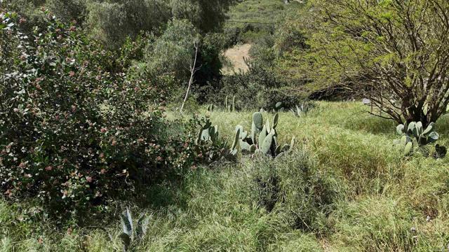 Detail Gallery Image 35 of 60 For 9237 Harmony Grove, Escondido,  CA 92029 - 3 Beds | 2/1 Baths