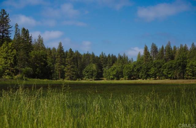 Detail Gallery Image 8 of 23 For 29276 Bullskin Ridge Rd, Oak Run,  CA 96069 - 3 Beds | 2 Baths