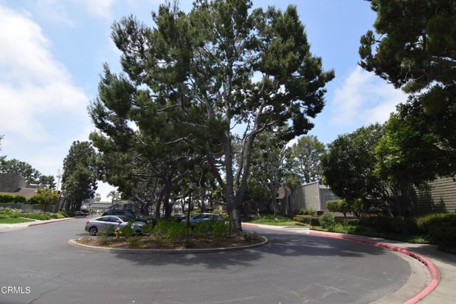 Detail Gallery Image 40 of 46 For 13340 Maxella Ave #3,  Marina Del Rey,  CA 90292 - 3 Beds | 2/1 Baths