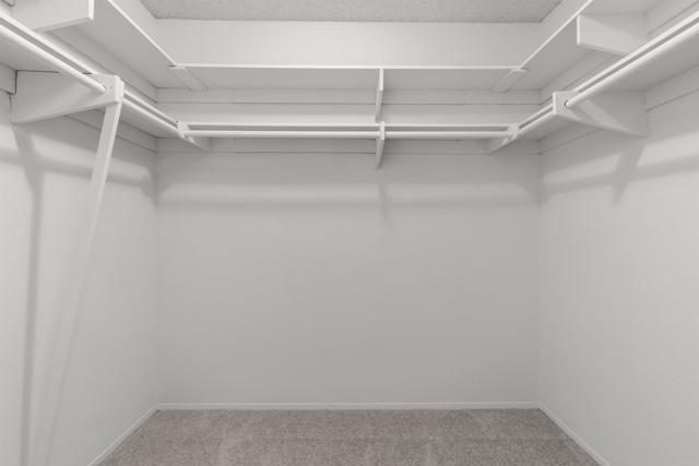13443 Black Hills Road, San Diego CA: https://media.crmls.org/mediaz/4ffcdddf-e463-48fe-825c-6c4ee22327e2.jpg