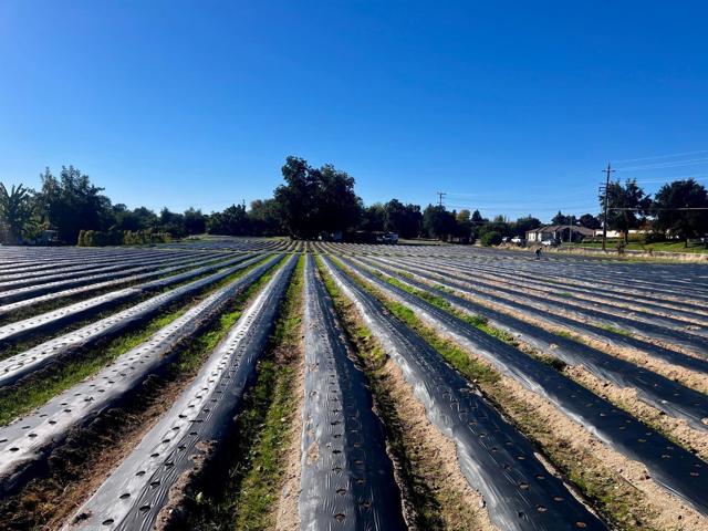 7314 Santa Juanita Avenue, Orangevale CA: https://media.crmls.org/mediaz/4fff0e16-1f38-4c39-a242-7a0b8ac94cc7.jpg