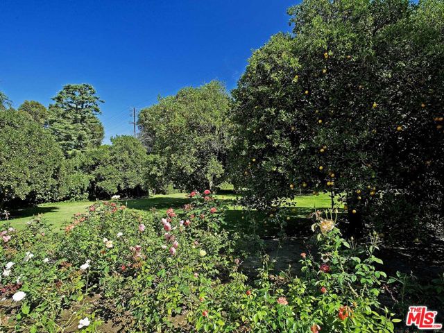 17545 Parthenia Street, Sherwood Forest CA: https://media.crmls.org/mediaz/5000bbae-c61f-4c35-b3e9-082ebef2ea47.jpg
