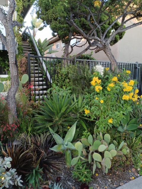 Detail Gallery Image 6 of 16 For 4381 Oregon St #6,  –,  CA 92104 - 2 Beds | 1 Baths