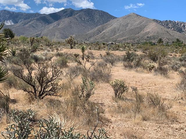 Detail Gallery Image 3 of 9 For 0 Mountain View Rd, Lucerne Valley,  CA 92356 - – Beds | – Baths