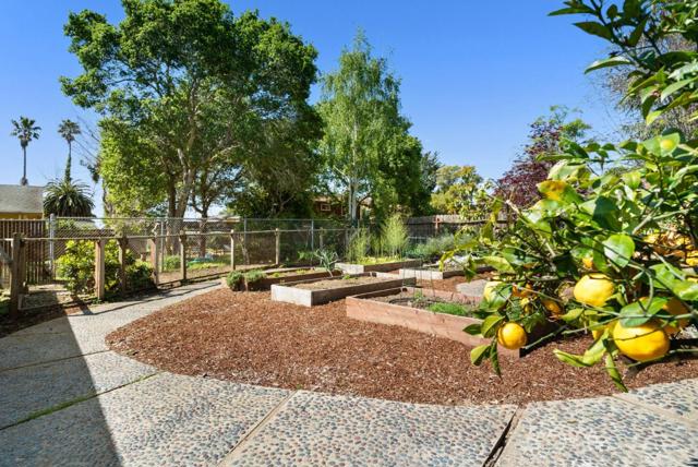 2975 Mattison Lane, Santa Cruz CA: https://media.crmls.org/mediaz/50236021-ca5b-4c4d-b639-43b7a8a25e5c.jpg