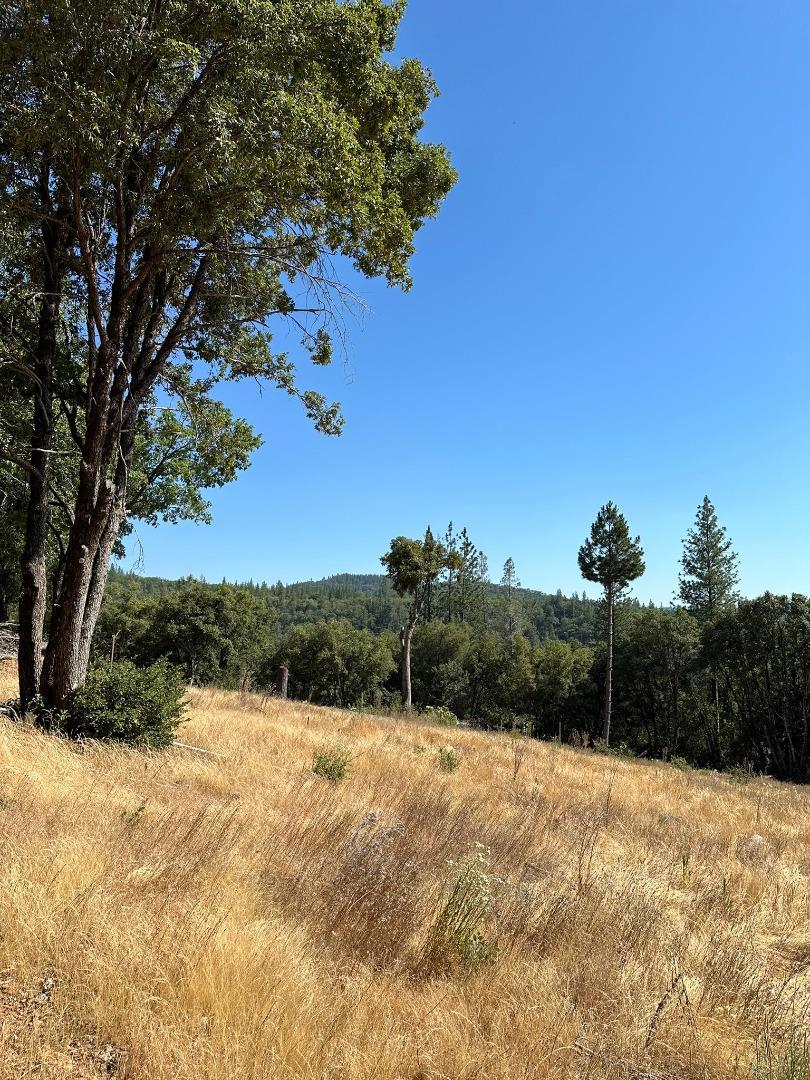 MLS #ML81974509 image #17