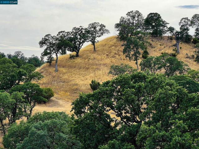 0 Lot 22 Rolling Oaks, Cottonwood CA: https://media.crmls.org/mediaz/502b4abd-6aa1-42db-93ee-80dea637935e.jpg