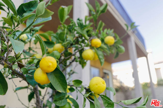 Image 32 of 36 For 5338 Via Dolores