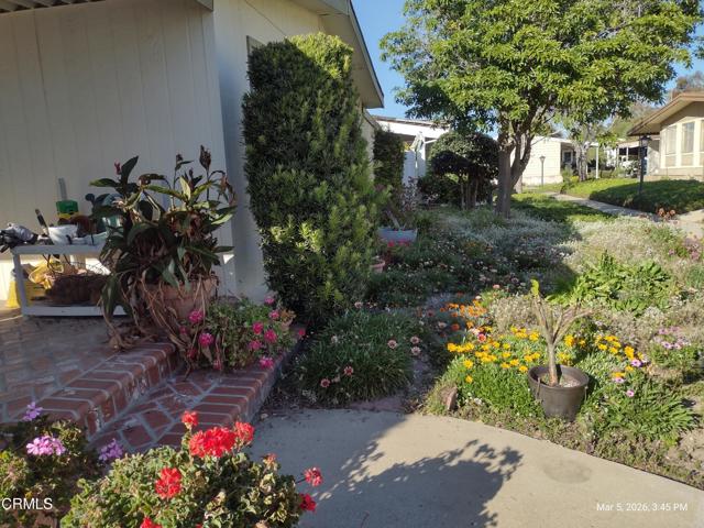 Detail Gallery Image 29 of 49 For 182 Rancho Adolfo Dr #83,  Camarillo,  CA 93012 - 2 Beds | 2 Baths