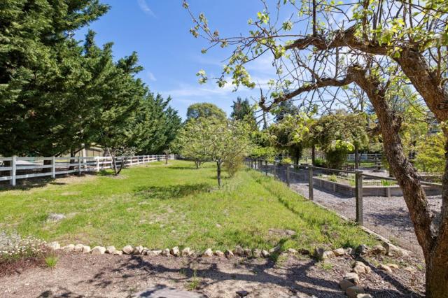 23020 Old Santa Cruz Highway, Los Gatos CA: https://media.crmls.org/mediaz/503bfe48-ab3b-4725-b80e-f58be339a8c2.jpg