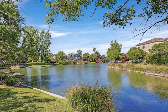 131 Diapian Bay, Alameda CA: https://media.crmls.org/mediaz/503dbbd1-520c-4a25-b031-6dfb7bf639e1.jpg