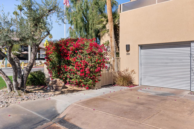 100 E Stevens Road, Palm Springs CA: https://media.crmls.org/mediaz/503ef1b1-a516-46cf-9833-b817d37bcf2d.jpg