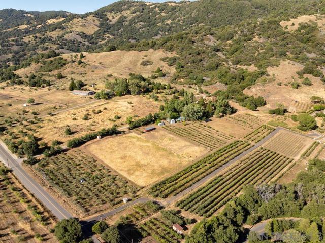 1209 Farmer Road, Julian CA: https://media.crmls.org/mediaz/50405b90-1896-429a-ae5a-c93ba7d8695c.jpg