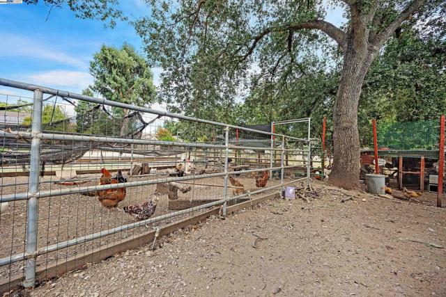 6745 Alisal St, Pleasanton CA: https://media.crmls.org/mediaz/504412ef-8df1-4a87-8bba-64f80172610e.jpg