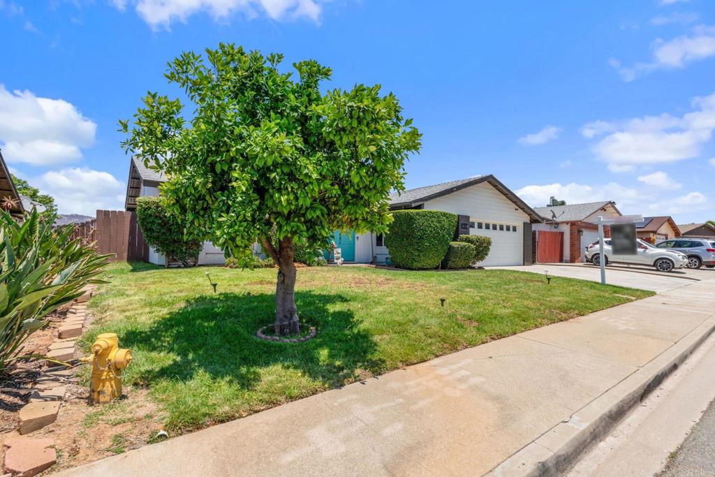 1434 Cottonwood Court - photo 4