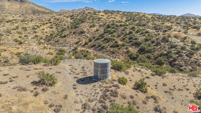  Commercial for Sale in Agua Dulce, California