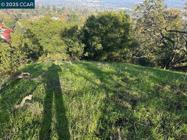 43 Cuesta way, Walnut Creek CA: https://media.crmls.org/mediaz/507ad5c7-5bfb-414d-8604-54dcf9b10feb.jpg