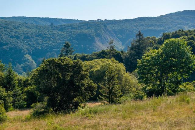 15 Potrero Trail (Lot 188), Carmel CA: https://media.crmls.org/mediaz/507ec9e4-2916-4efe-8b9d-77fc6c586309.jpg