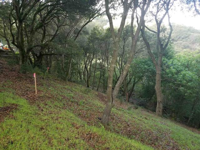 12 Vista Del Orinda, Orinda CA: https://media.crmls.org/mediaz/508d4e18-5932-4acc-80be-b0daf7895a54.jpg