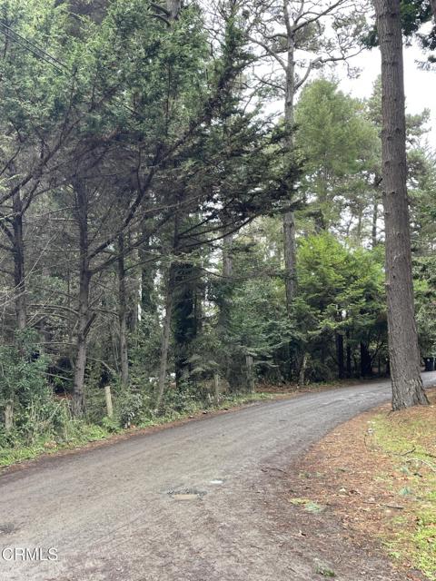 Detail Gallery Image 70 of 70 For 14875 Atkins Way, Fort Bragg,  CA 95437 - 3 Beds | 2 Baths