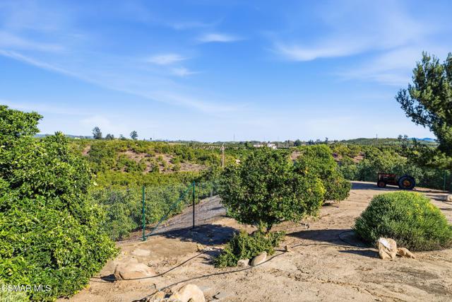 Image 33 of 69 For 6555 Martinique Drive