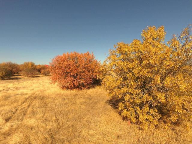 27643 County Road 88, Winters CA: https://media.crmls.org/mediaz/50c168dc-6a98-4338-852c-a3776038f83a.jpg