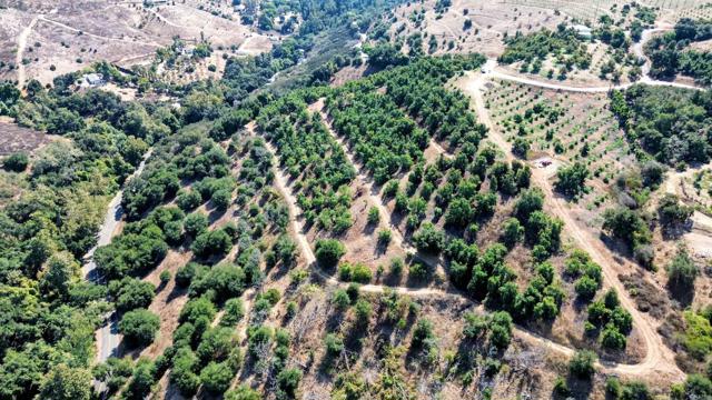 Detail Gallery Image 31 of 32 For 0 Couser Canyon Rd, Valley Center,  CA 92082 - – Beds | – Baths