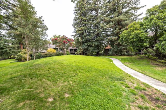 MLS #ML82024984 image #32