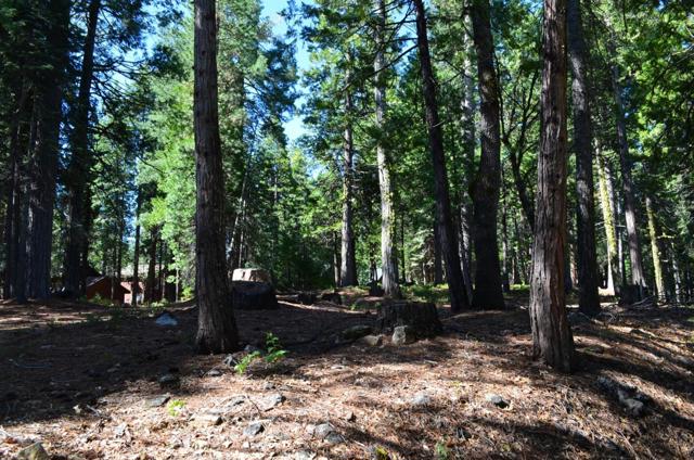 3112 Apache Road, Dorrington CA: https://media.crmls.org/mediaz/50d6457b-2ac8-4555-84ec-146cd6cccc3f.jpg