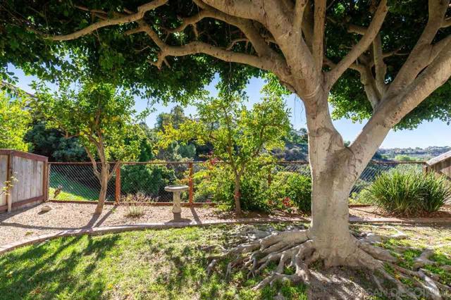 3618 Milford Place, Carlsbad CA: https://media.crmls.org/mediaz/50d88b0a-13a6-4e1a-899e-312bbc192ae1.jpg