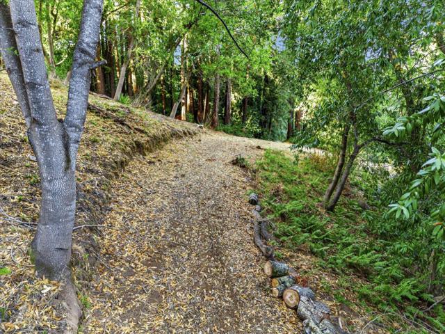 12 Montecito Road, Woodside CA: https://media.crmls.org/mediaz/50e70f75-20f2-4d31-a273-32ba4f809ab9.jpg