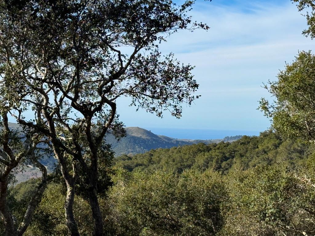 MLS #ML81990616 image #7