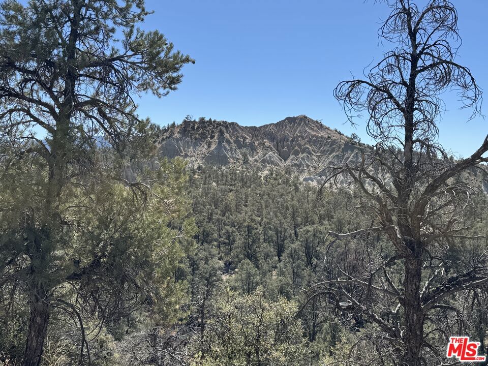 https://media.crmls.org/mediaz/50f0bd46-7add-487b-b682-b283340cb379.jpg?preset=X-Large
