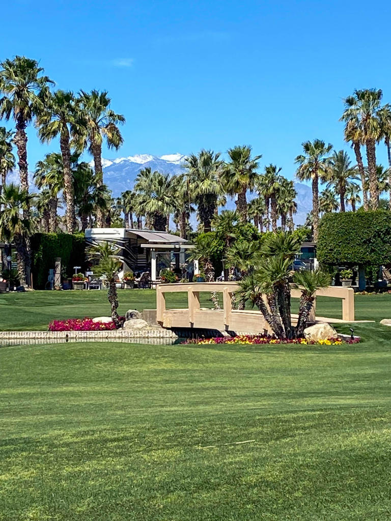 https://media.crmls.org/mediaz/50f9be9d-6600-46f8-9485-6acd2e91a682.jpg?preset=X-Large