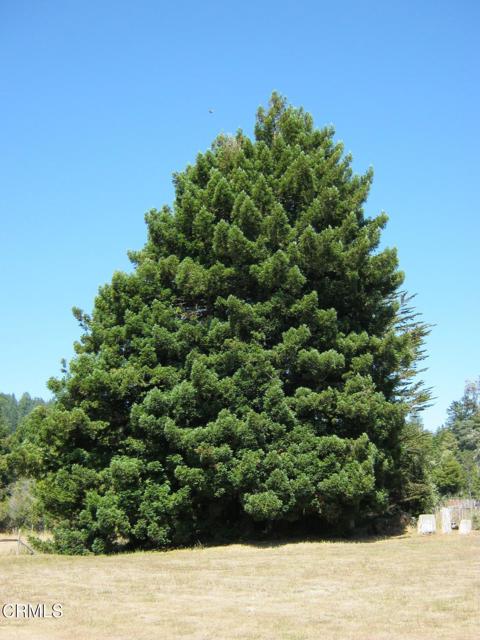 Detail Gallery Image 20 of 24 For 30520 Pudding Creek Rd, Fort Bragg,  CA 95437 - 2 Beds | 1 Baths